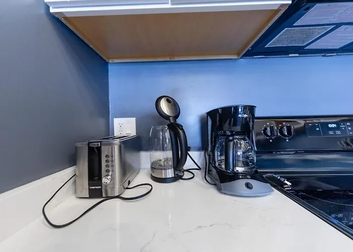 Spacious 5br Luxury Perfect For Group Sleeps 12 Near Mccormick Place, Grant Park And Soldier Field Appartement